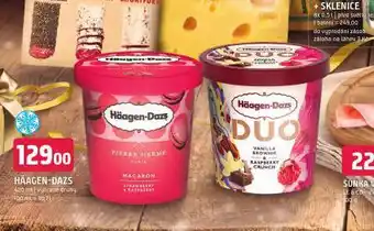 Terno Häagen dazs nabídka