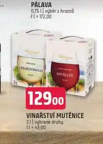 Terno Vinařství mutěnice nabídka