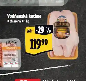 Albert Vodňanská kachna nabídka