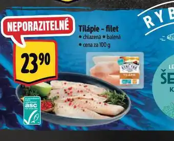 Albert Tilápie filet nabídka