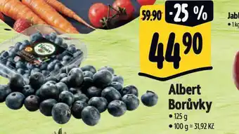 Albert Borůvky nabídka
