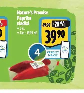 Albert Paprika sladká nabídka