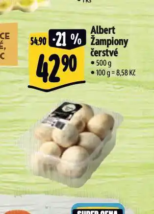 Albert Žampiony čerstvé nabídka