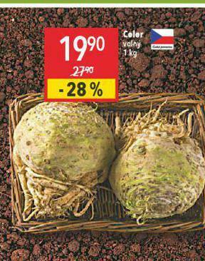 Globus Celer nabídka