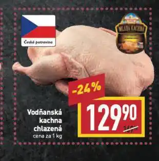 Billa Vodňanská kachna nabídka