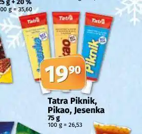 Tatra piknik