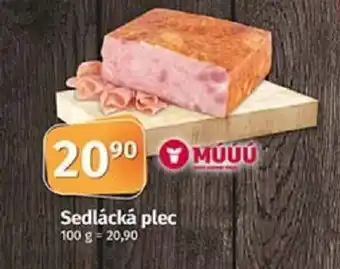 COOP TIP Sedlácká plec nabídka