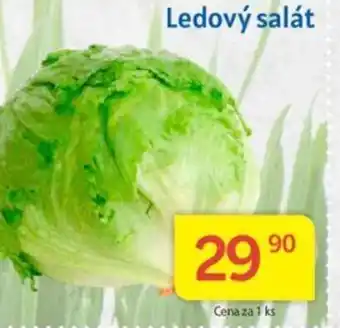 Kubík potraviny Ledový salát nabídka