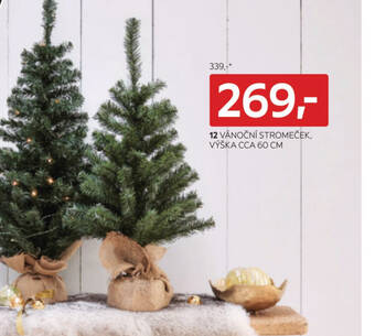 Kika Nábytek VÁNOČNÍ STROMEČEK, VÝŠKA CCA 60 CM nabídka