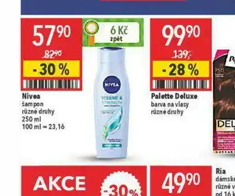 Globus Nivea šampon nabídka