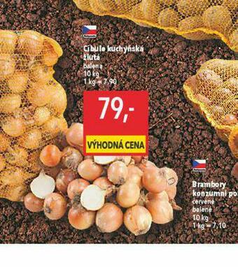 Globus Cibule kuchyňská žlutá nabídka