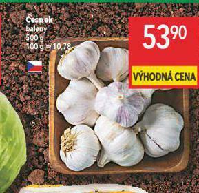 Globus Česnek nabídka