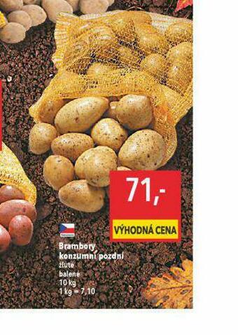 Globus Brambory konzumní pozdní nabídka