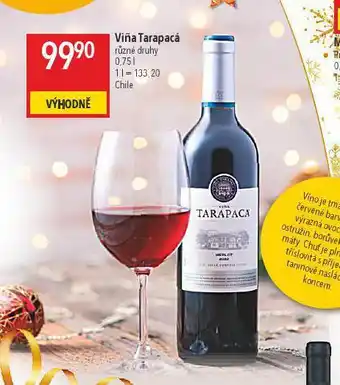 Globus Viňa tarapacá nabídka