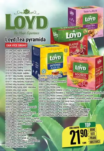Tamda Foods Loyd Tea pyramida nabídka