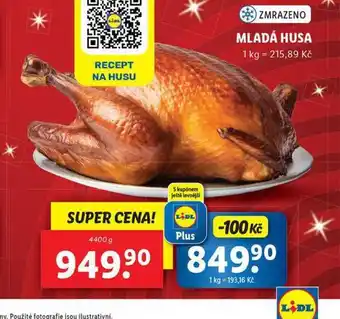 Lidl Mladá husa nabídka