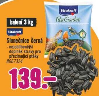 Hornbach Vitakraft Slunečnice černá nabídka