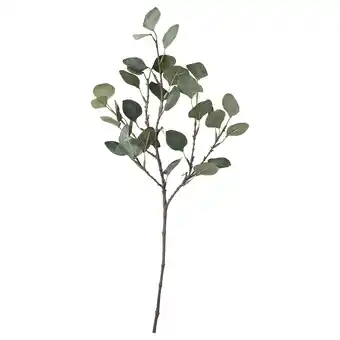 IKEA Smycka umělý list, eukalypt/zelená, 65 cm nabídka