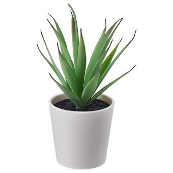 IKEA Fejka umělá rostlina v květináči, vn./venkovní sukulent, 6 cm nabídka
