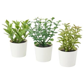 IKEA Fejka umělá rostlina v květináči, 3 ks, vn./venkovní byliny, 5 cm nabídka
