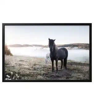 IKEA Björksta obraz s rámem, pasoucí se koně/černá, 118x78 cm nabídka