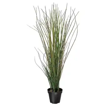 IKEA Fejka umělá květina v květ., tráva, 17 cm nabídka
