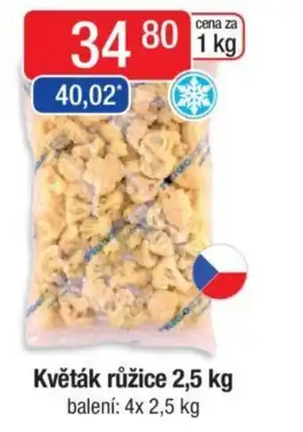 Qanto Květák růžice 2,5 kg nabídka