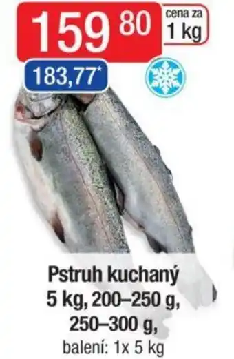Qanto Pstruh kuchaný 5 kg, 200-250 g, 250-300 g nabídka