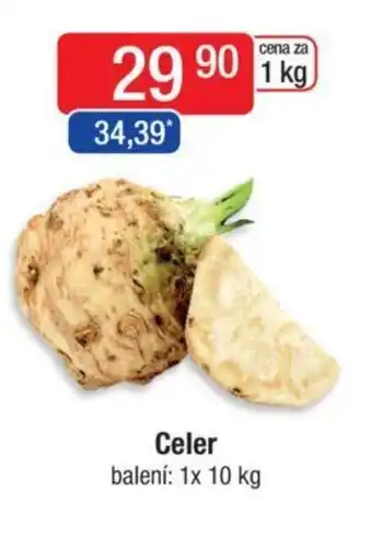 Qanto Celer nabídka