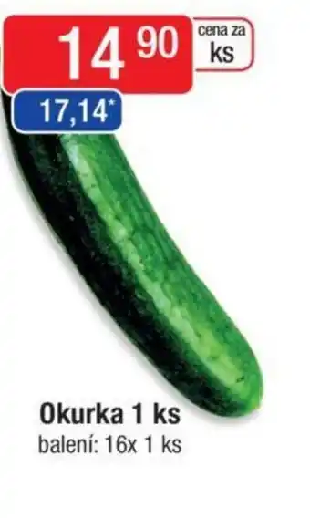 Qanto Okurka 1 ks nabídka