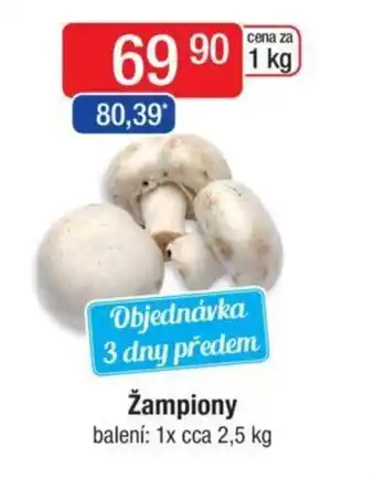 Qanto Žampiony nabídka