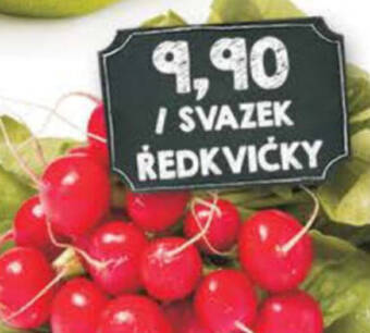 Jip SVAZEK ŘEDKVIČKY nabídka