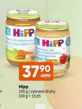 Terno Hipp nabídka