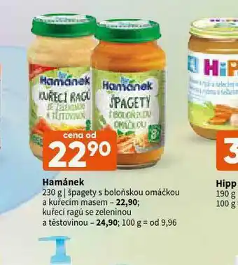 Terno Hamánek kuřecí ragú se zeleninou a těstovinami nabídka