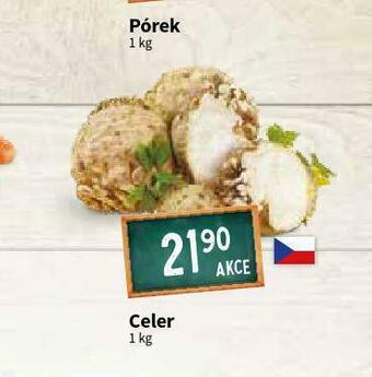 Terno Celer nabídka