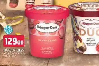 Terno Haagen-dazs 420 ml nabídka