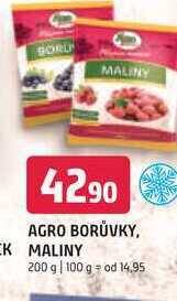 Terno Agro borůvky, maliny 200 g nabídka