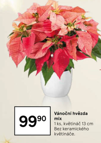 Tesco Vánoční hvězda mix nabídka