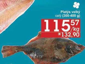 Jip Platýs velký celý (300-400 g), 1 kg nabídka