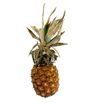 Jip Ananas 1ks nabídka