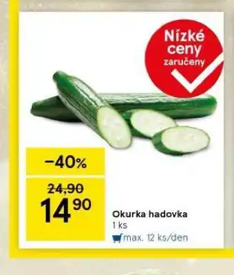 Tesco Okurka hadovka nabídka