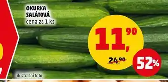 Penny Market Okurka salátová nabídka