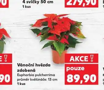 Kaufland Vánoční hvězda nabídka