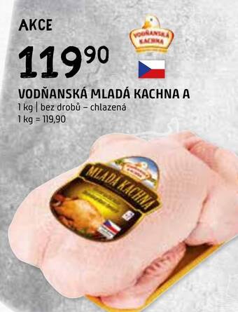 Terno VODŇANSKÁ MLADÁ KACHNA A nabídka