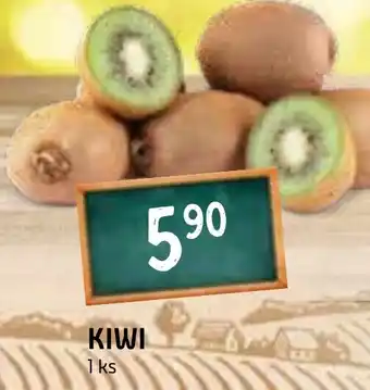 Terno KIWI nabídka