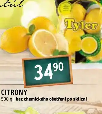 Terno CITRONY nabídka