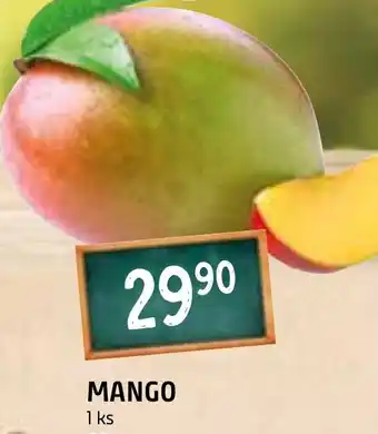 Terno MANGO nabídka