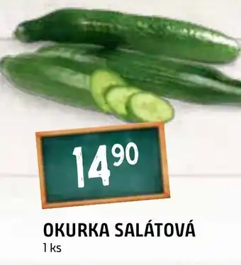 Terno OKURKA SALÁTOVÁ nabídka
