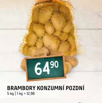 Terno BRAMBORY KONZUMNÍ POZDNÍ nabídka