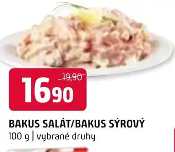 Terno BAKUS SALÁT/BAKUS SÝROVÝ nabídka